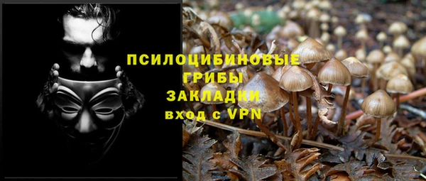 гидропоника Балахна