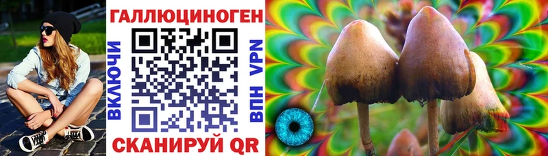 Псилоцибиновые грибы Psilocybine cubensis  сколько стоит  Белая Холуница 